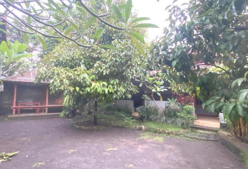 בית מלון כפרי Spot On 93517 De Lanang Homestay