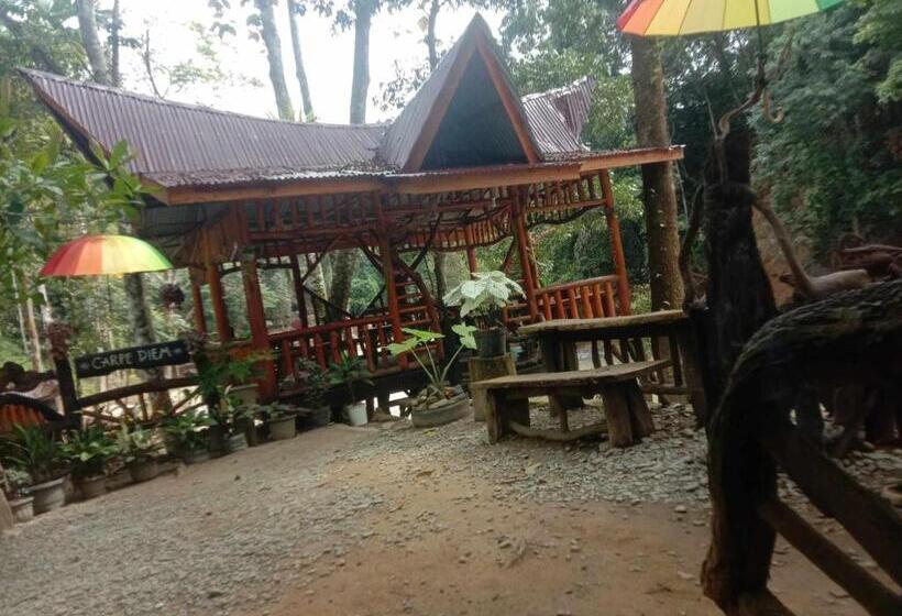 بنسيون Orchid Bugalows