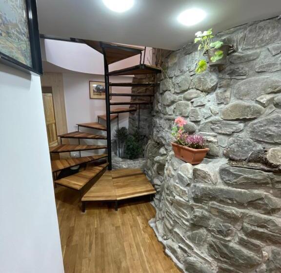 پانسیون Apartament Tisa   Cătun