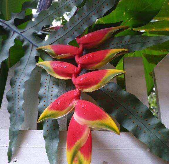 פנסיון Casa La Moore Self Catering Accomodation