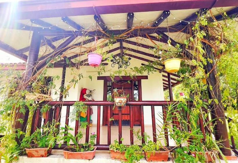 هتل Kamelot Colonial