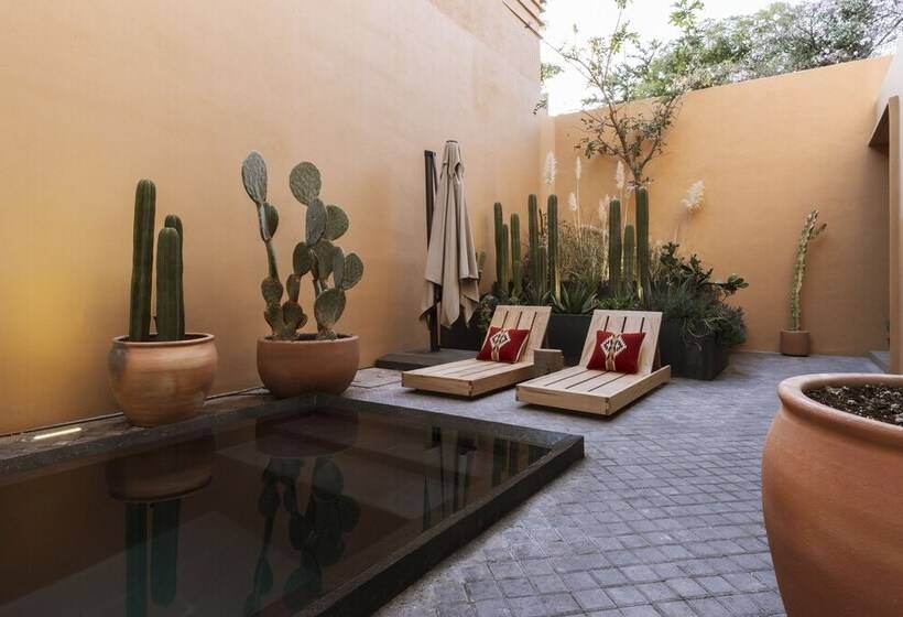 هتل Macondo Arte Oaxaca