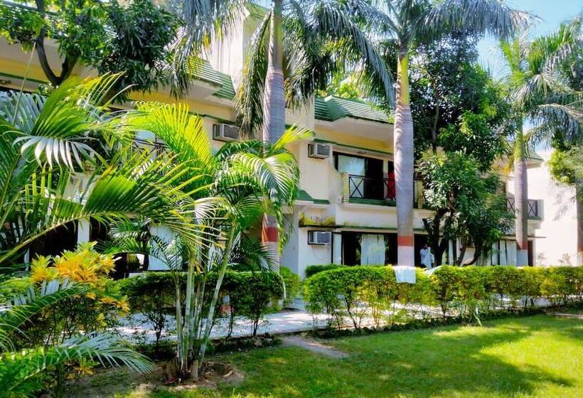 فندق Maya The Forest Resort