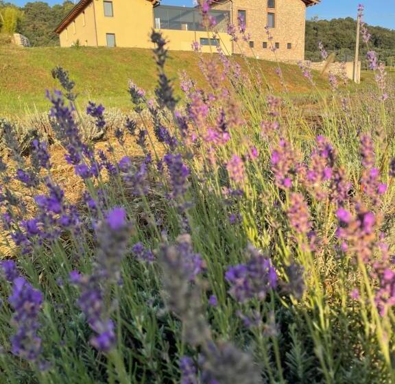 ホテル Agriturismo Al Mancino