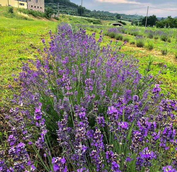 ホテル Agriturismo Al Mancino