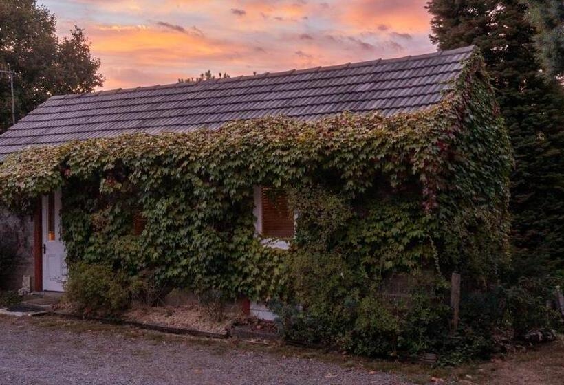 בית מלון כפרי Hideaway Farmlet Romantic Cottage With Miniature Goats