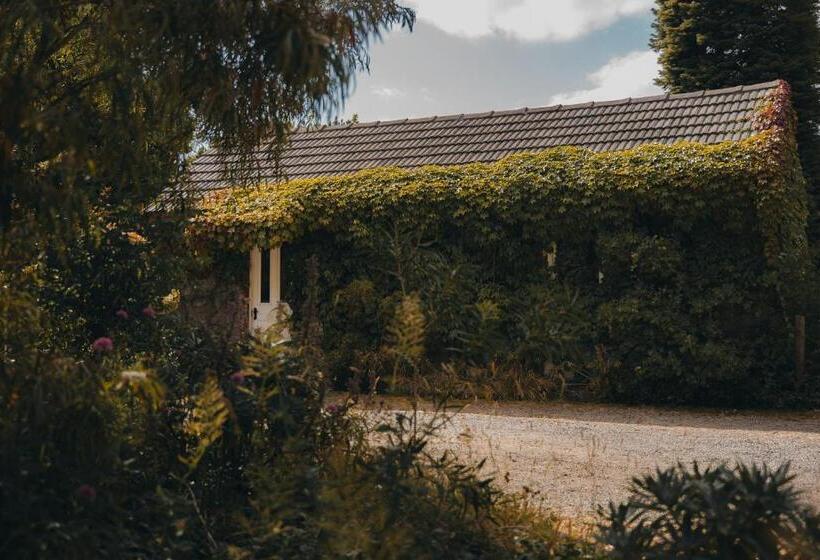 בית מלון כפרי Hideaway Farmlet Romantic Cottage With Miniature Goats