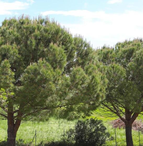 فندق Il Gelso Di Francesco N6