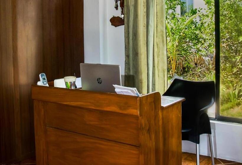 پانسیون Penguin House