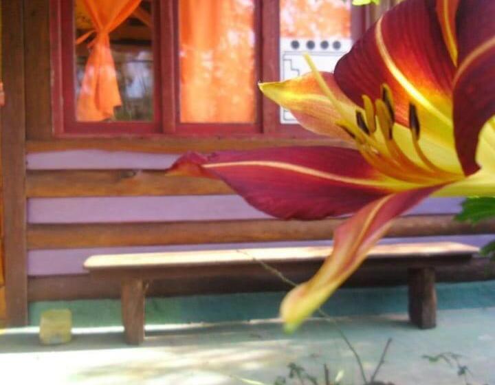 هاستل Déja Vú