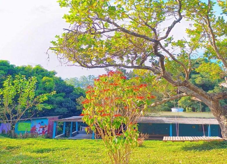 Canastra Hostel E Camping   Quartos