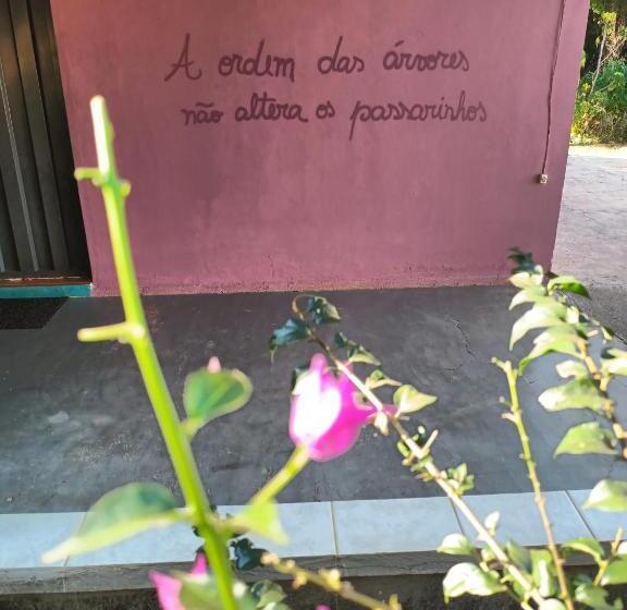 Canastra Hostel E Camping   Quartos