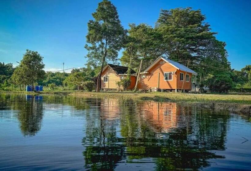 هتل Amano Green Resort
