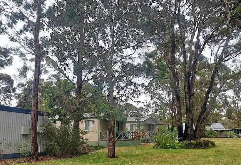 מוטל Mt Barker Holiday Park   Western Australia