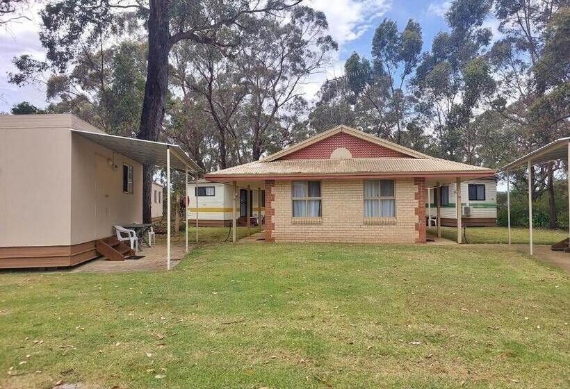 מוטל Mt Barker Holiday Park   Western Australia