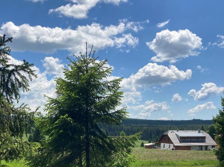 پانسیون Apartmány V Chalupě Nad Modravou