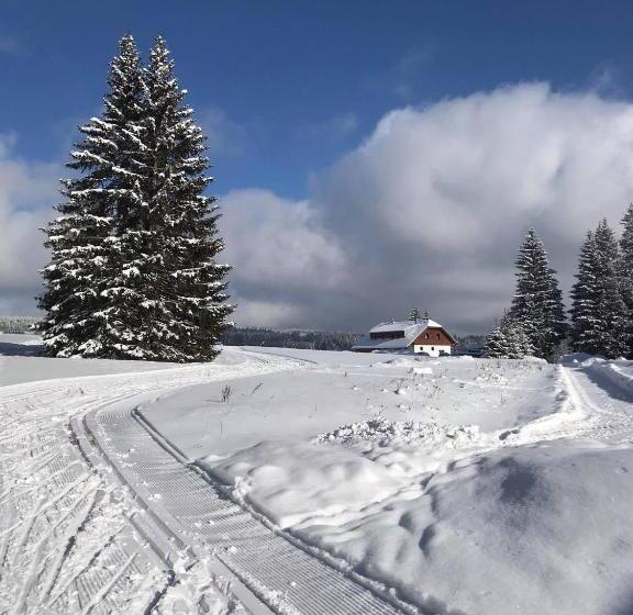 پانسیون Apartmány V Chalupě Nad Modravou