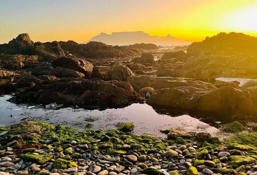 פנסיון Bellmatt   Table Mountain And Ocean View Guests Suites
