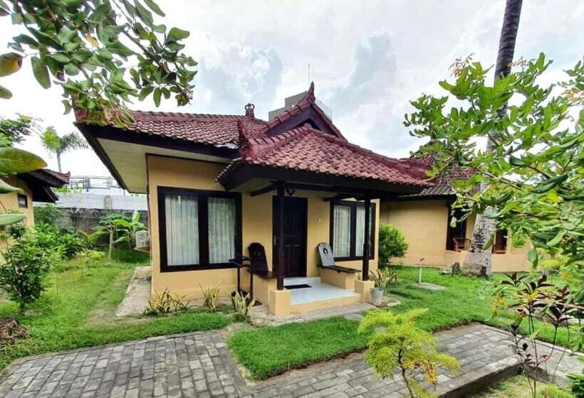 بنسيون Gguesthouse