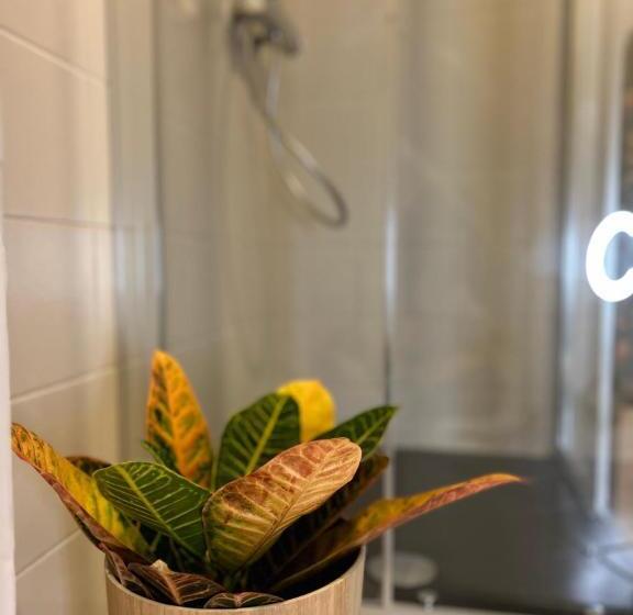 پانسیون Guest House Mameli44