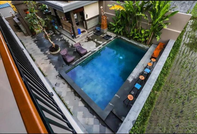 膳宿费 Harmony House 6. Just Built! 2 Min Ubud Center!