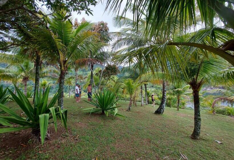 ペンション Quintal Da Mata