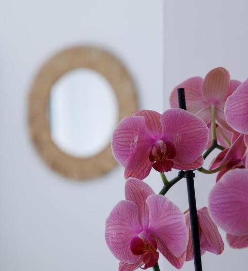 مبيت وإفطار Essentia Rooms & Relax