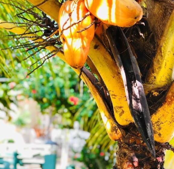 酒店 Paradise Garden Beruwala