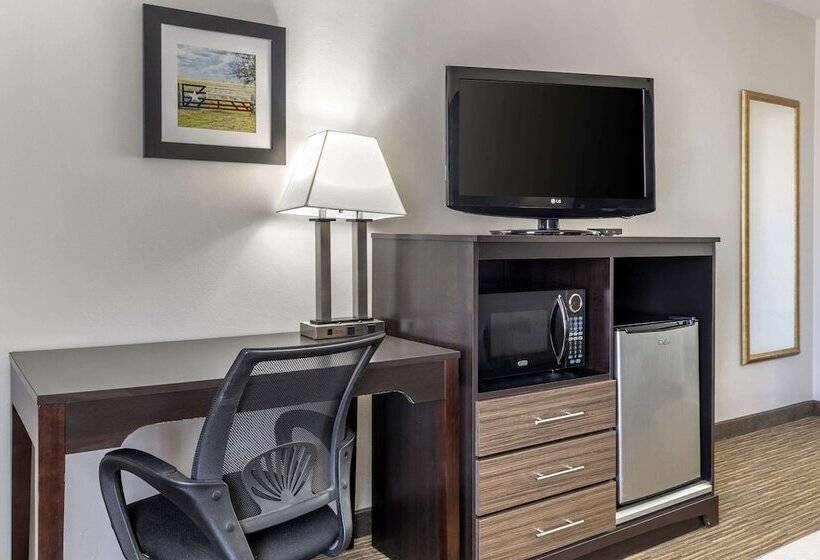 호텔 Suburban Studios Gainesville