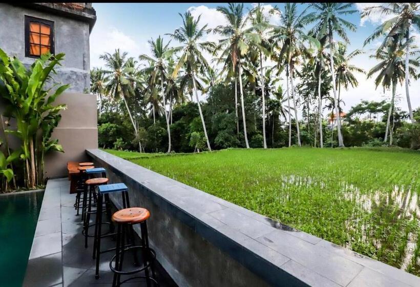 膳宿费 Harmony House 5. Just Built! 2 Min Ubud Center