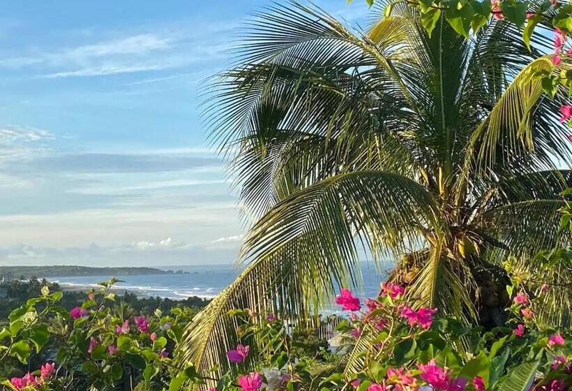 پانسیون Museo Viscuso   Ospitalità Six Edens