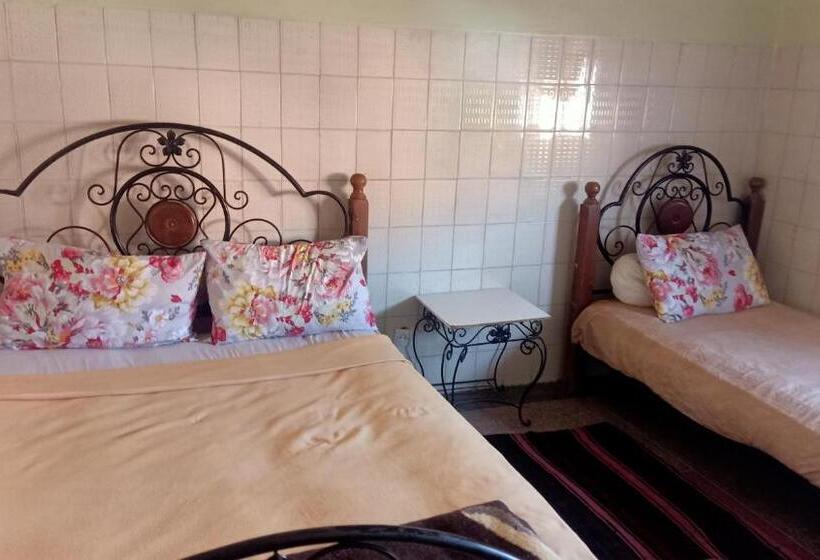 هتل Hôtel Hicham