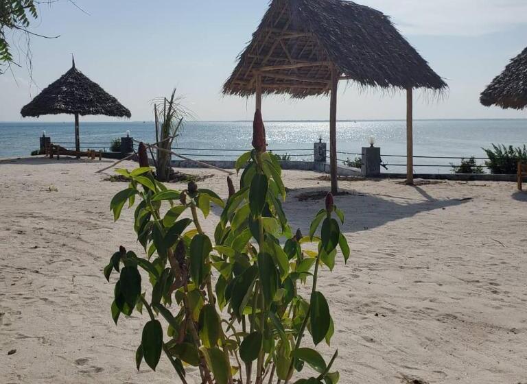 בית מלון כפרי Paradise City