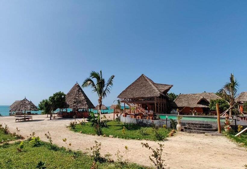 בית מלון כפרי Paradise City