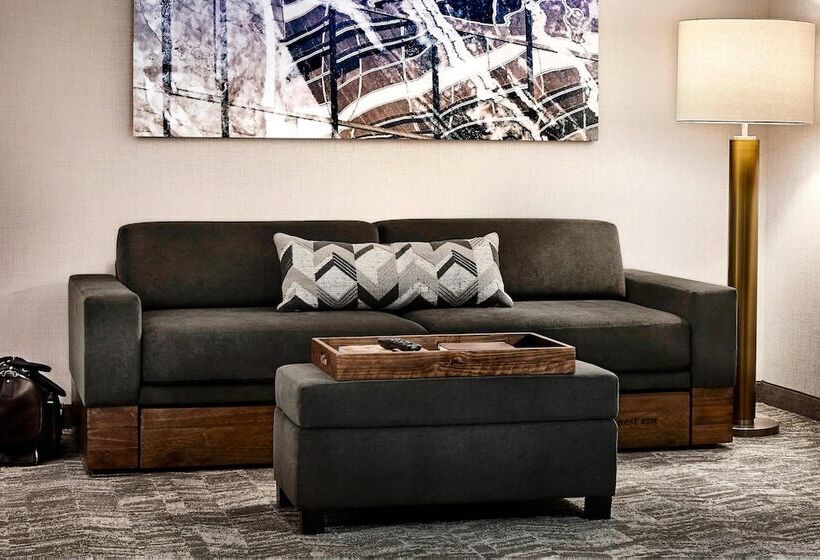 Отель Springhill Suites By Marriott Roanoke North