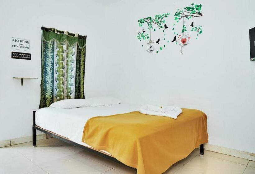 Paradise Feel Dreamy Resort