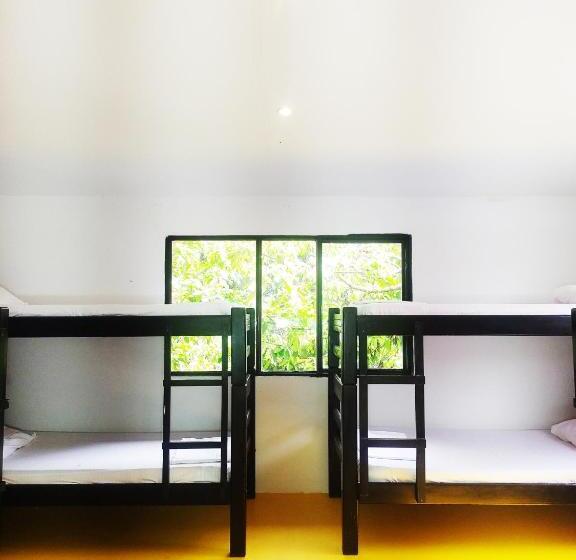 پانسیون Amalaya Hostel