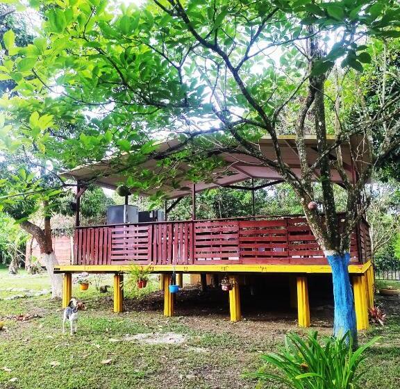 پانسیون Amalaya Hostel