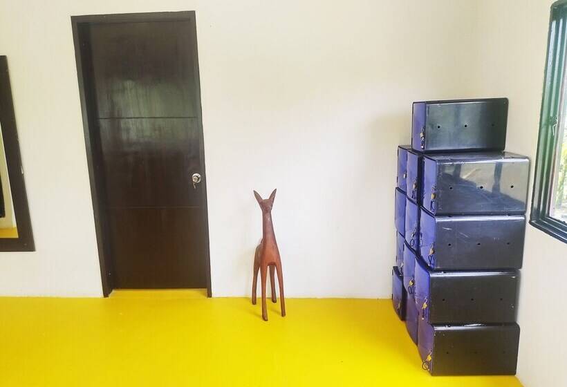 پانسیون Amalaya Hostel