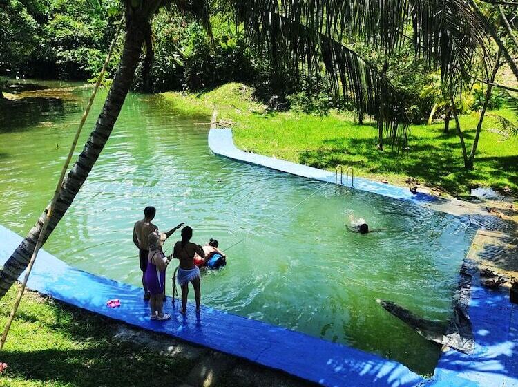 پانسیون Amalaya Hostel