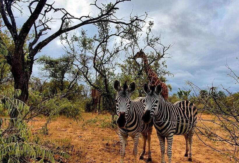 ホテル Blyde River Wilderness Lodge