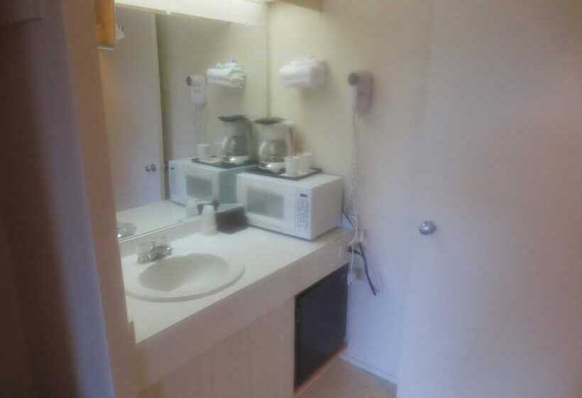 בית מלון כפרי Downtowner Inn