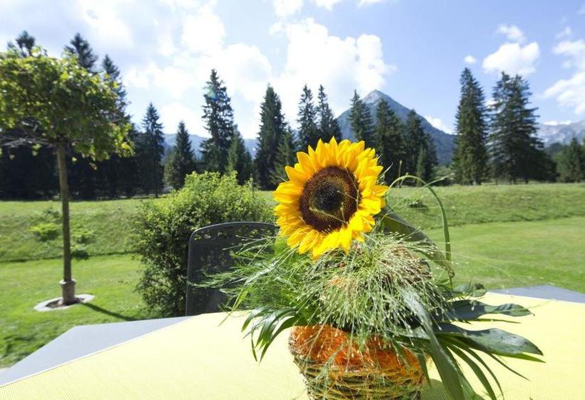 فندق Kinigadner Appartements