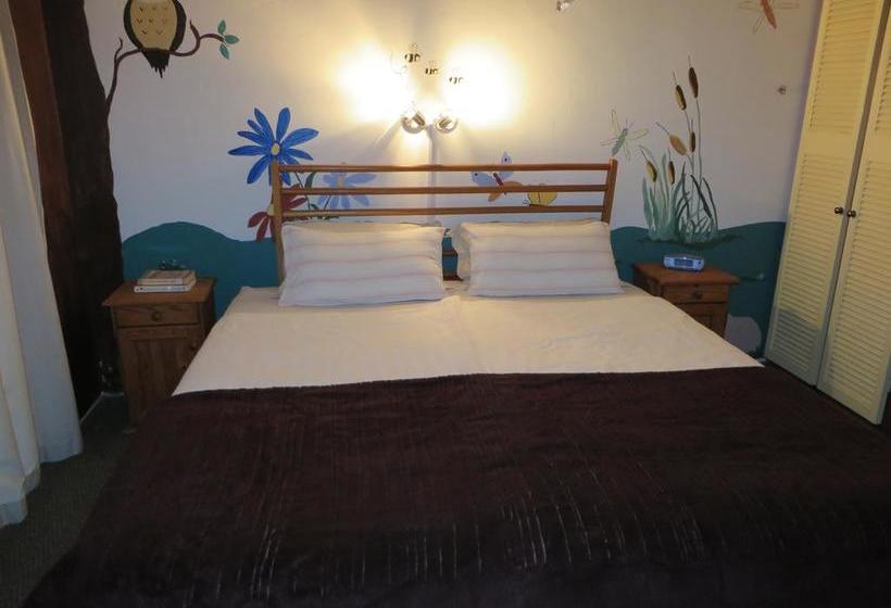 酒店 Lourens River Guesthouse B&b