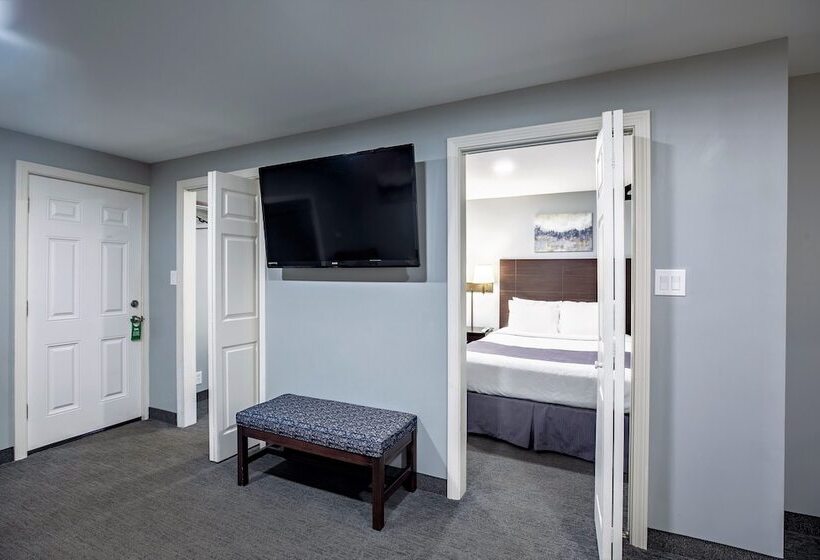فندق Mt Madison Inn & Suites