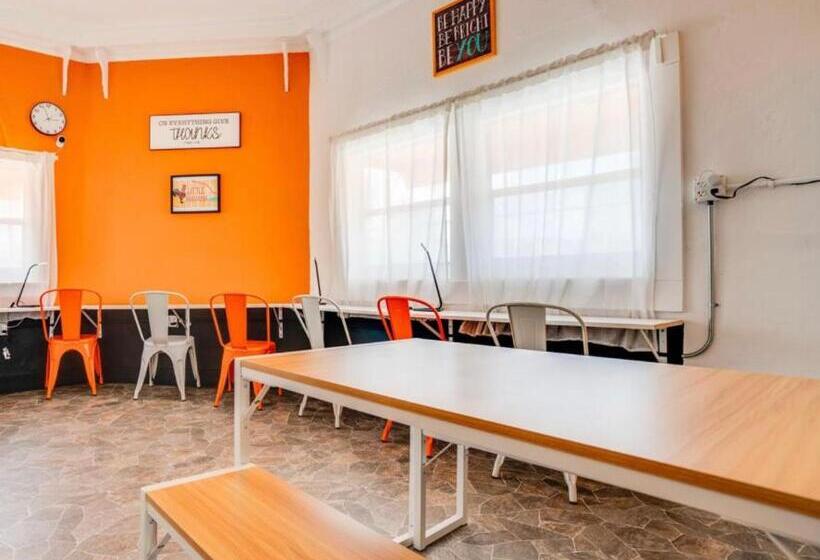 הוסטל Miami On A Budget   Free Coffee  Female Dorms   Men Dorms Under New Management