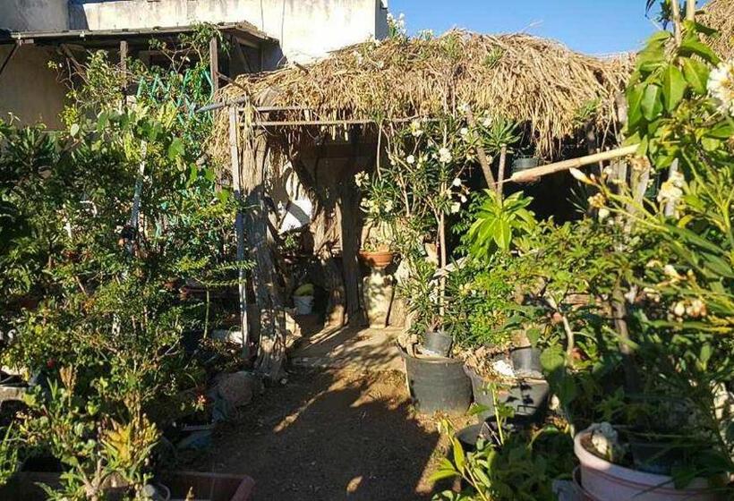 B&b I Bonsai Talana
