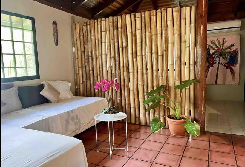 تختخواب و صبحانه Mizaru   Seaview Central Manuel Antonio