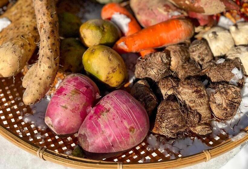 בית מלון כפרי Ishiuchi Ski Center   Vacation Stay 09176v