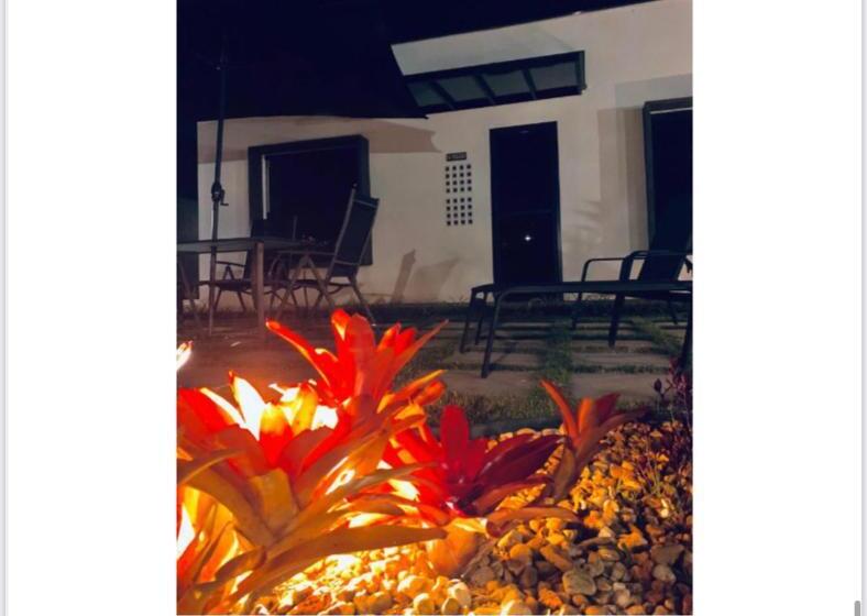 ホテル Tali House   Casa